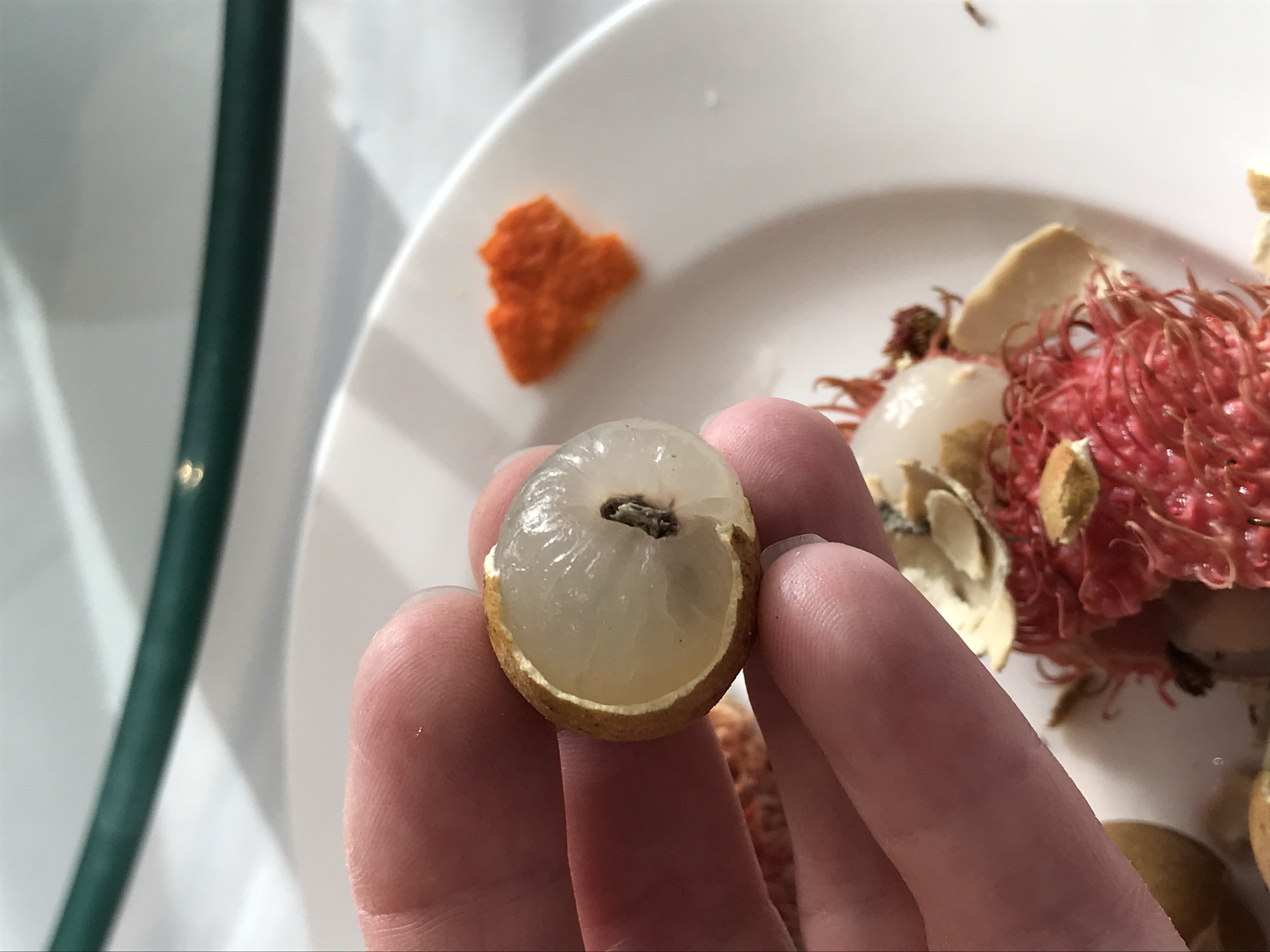 ./2018/03 - Viking China/16 - Shibaozhai/IMG_7451.JPG